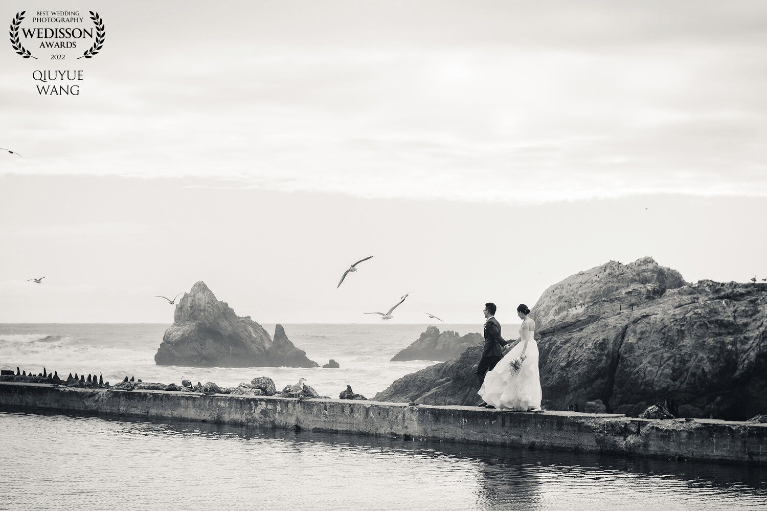 Wedisson award-winning black and white ocean photograph with birds