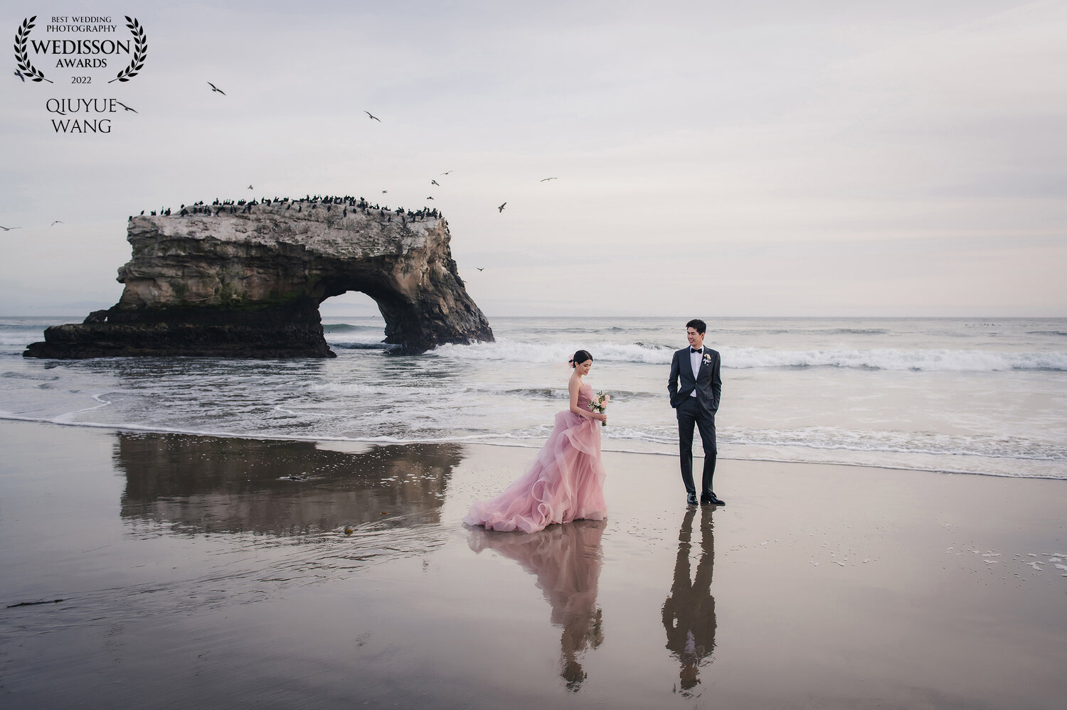 Wedisson award-winning ocean pre-wedding photograph with pink gown and birds
