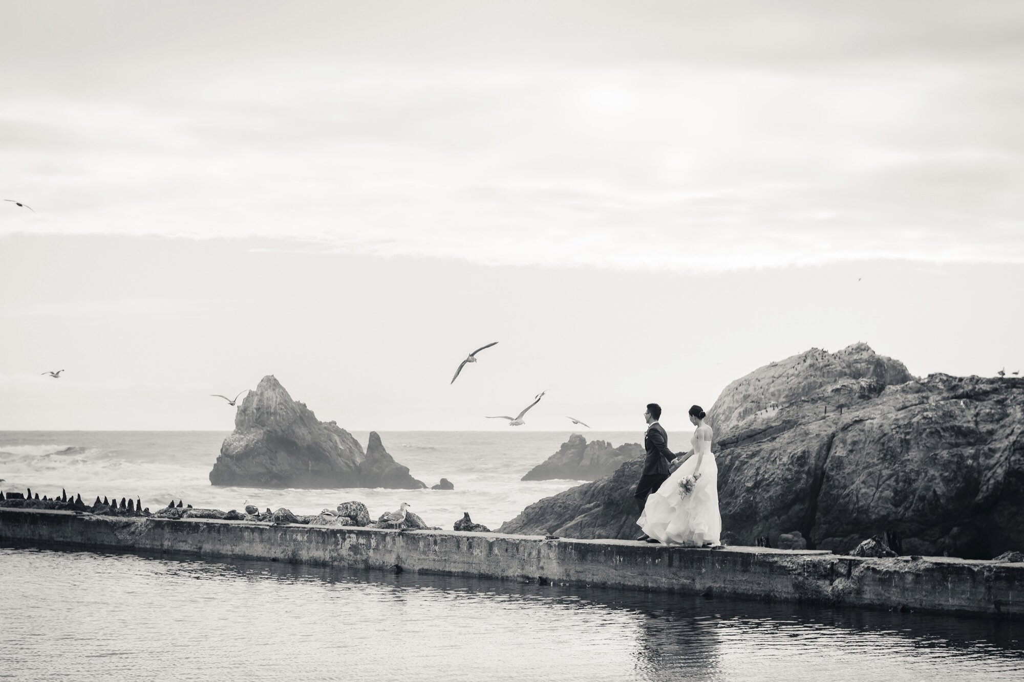 Black and white coastal pre-wedding portrait with birds