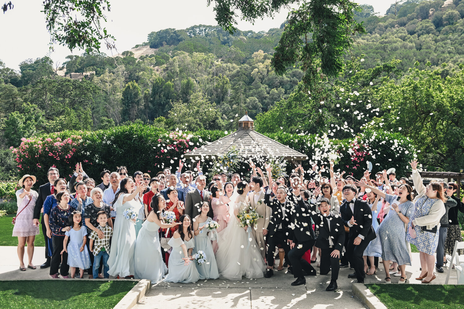 Elliston Vineyard wedding story