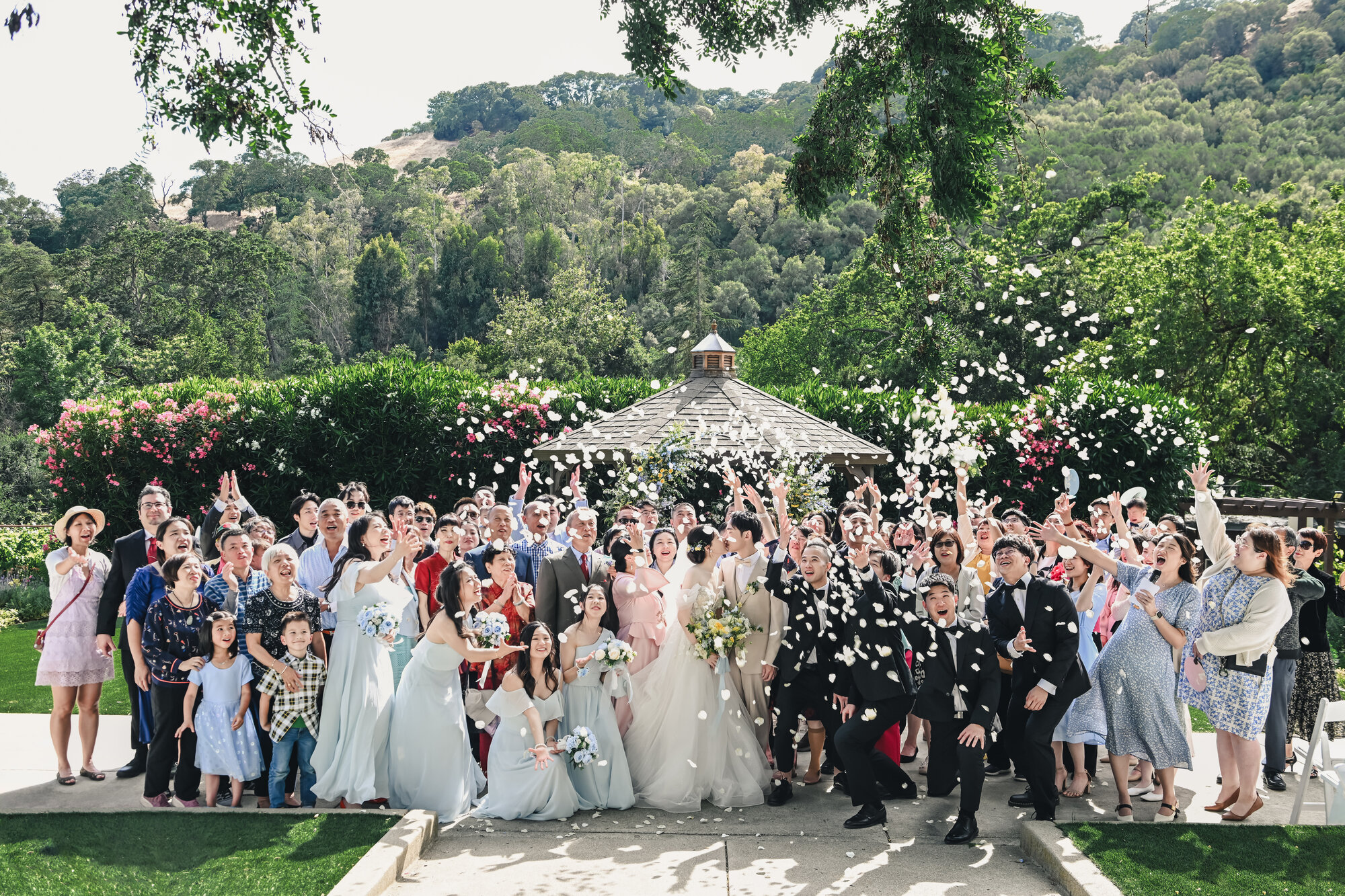 Elliston Vineyard wedding celebration