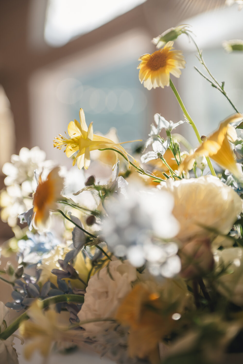 Elliston Vineyard wedding story photograph