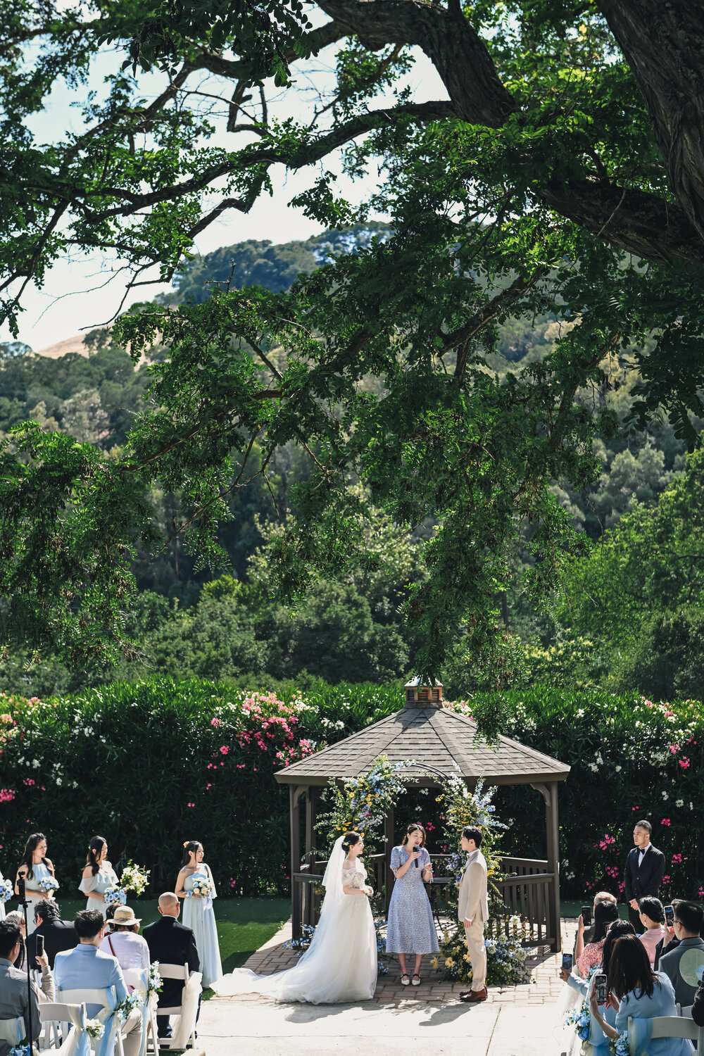 Elliston Vineyard wedding story photograph