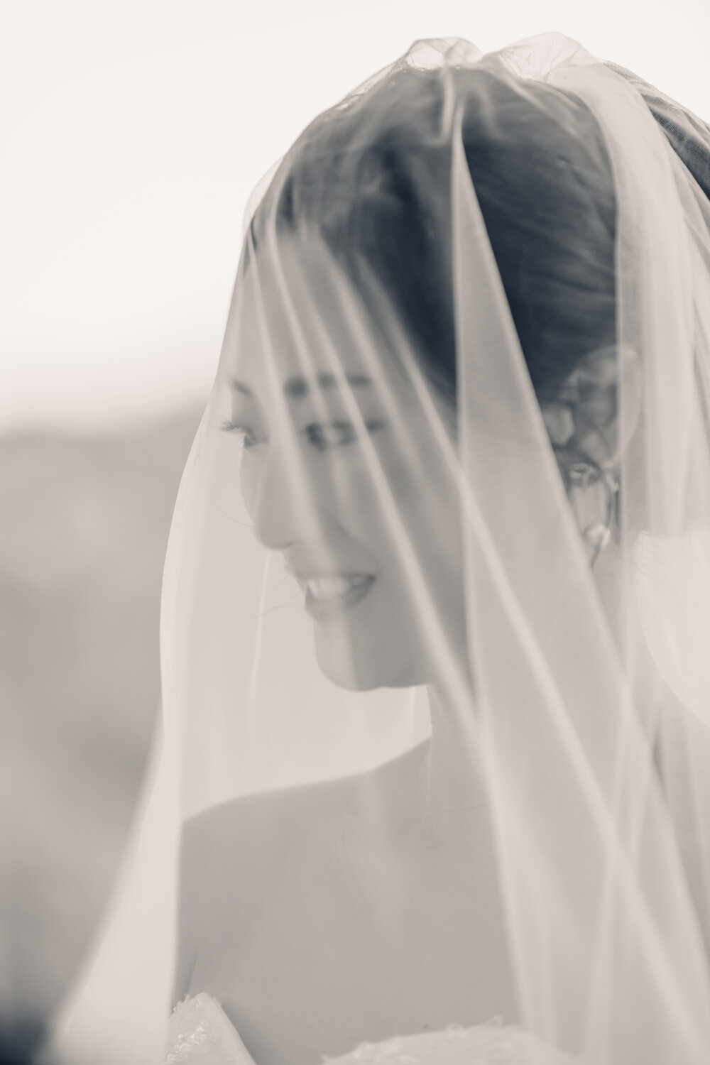 Veil detail over the bride's face