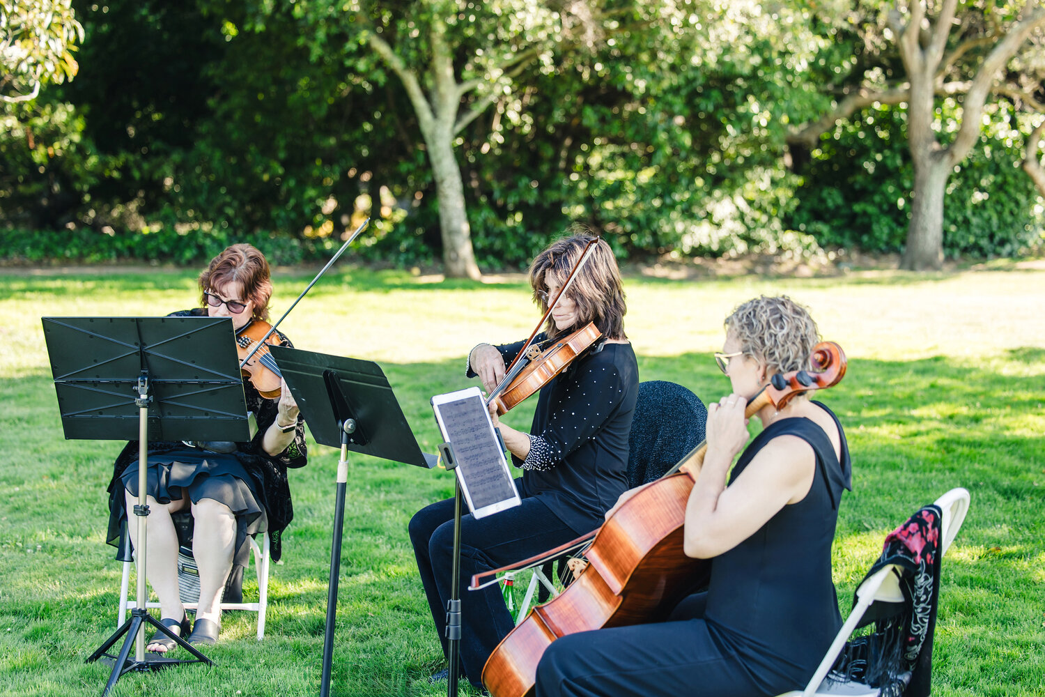 Ceremony musicians in the garden