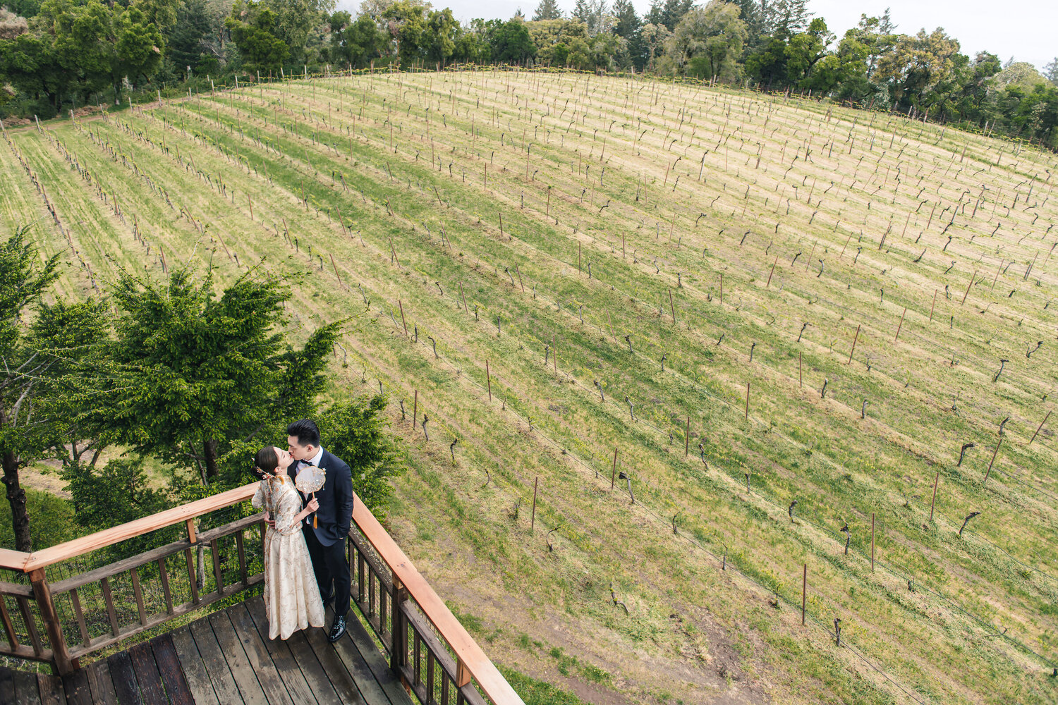 Couple portrait near the vineyard