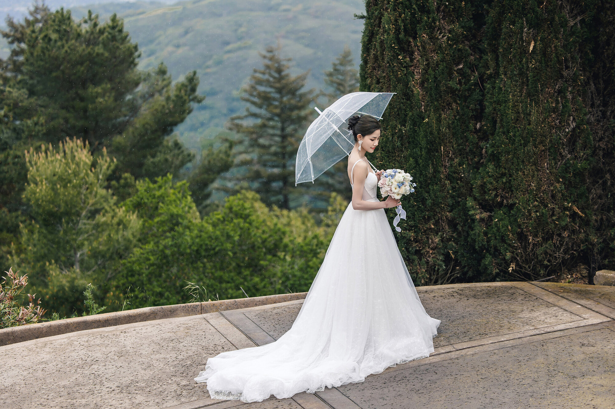 Bride with umbrella along the road
