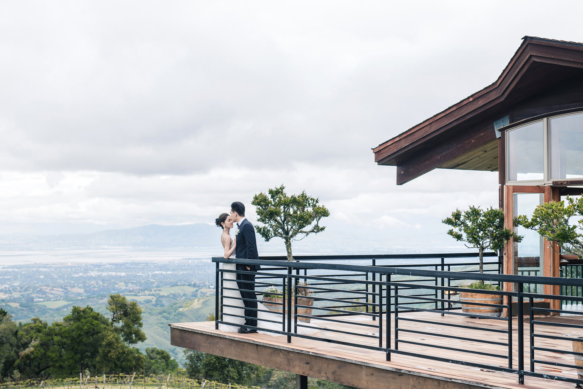 Hillside portrait at Thomas Fogarty Winery