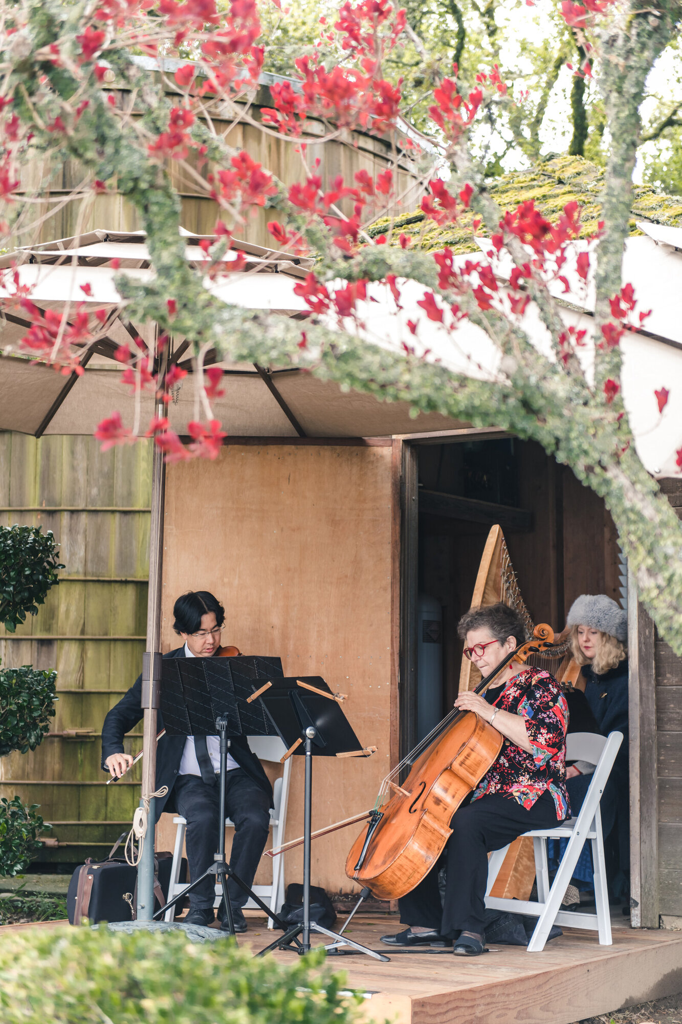 Cellist before the ceremony