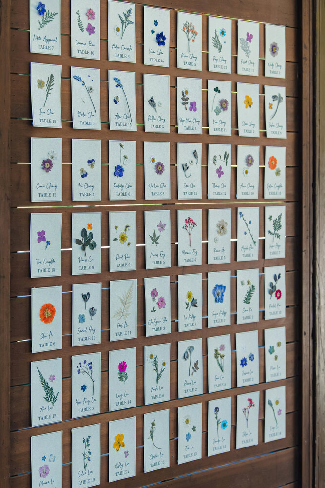 Illustrated escort display before dinner