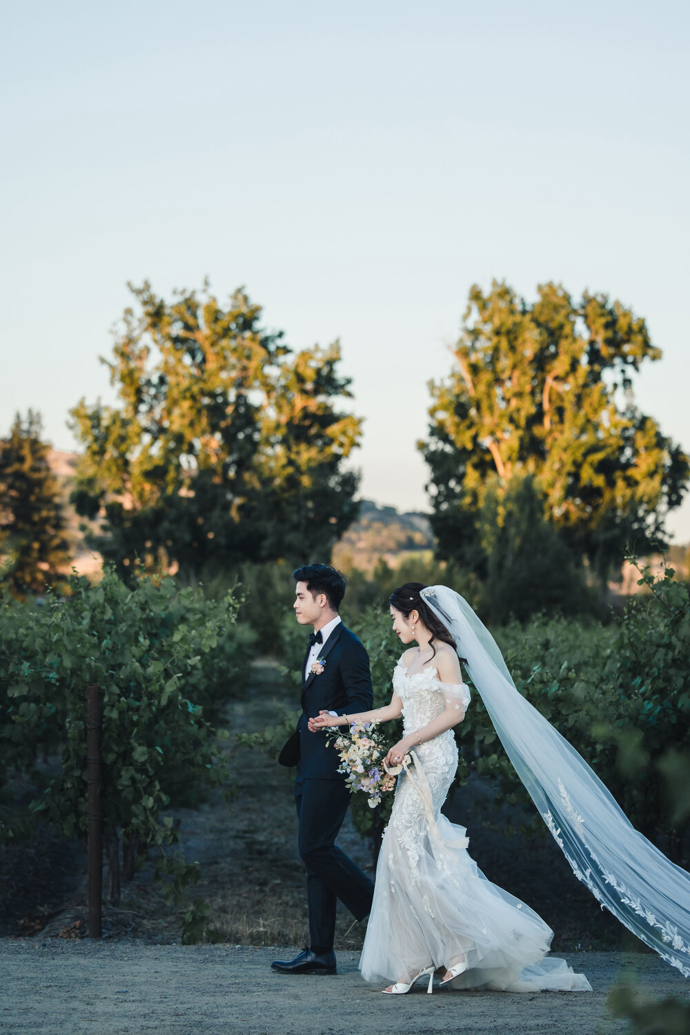 Vineyard veil portrait at dusk