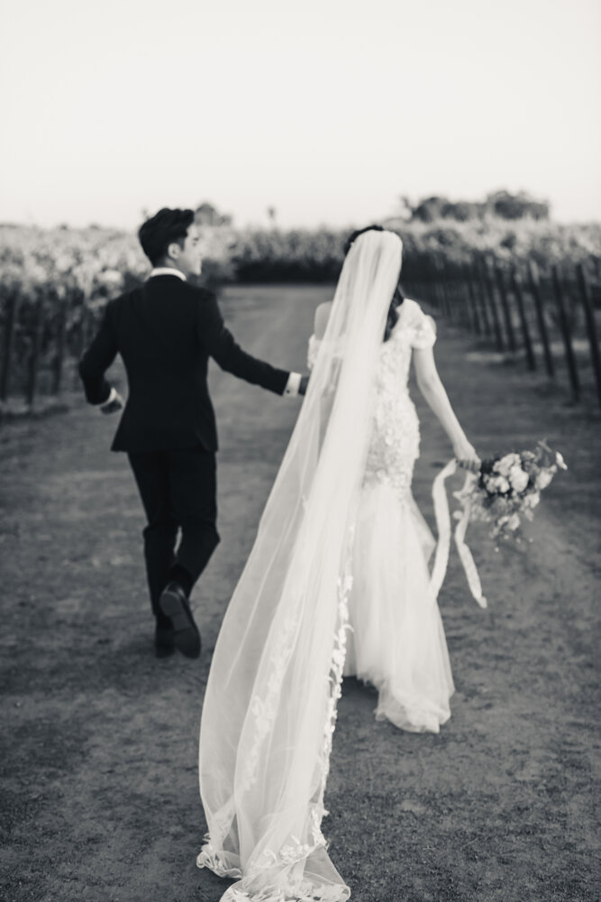 Black and white vineyard veil portrait